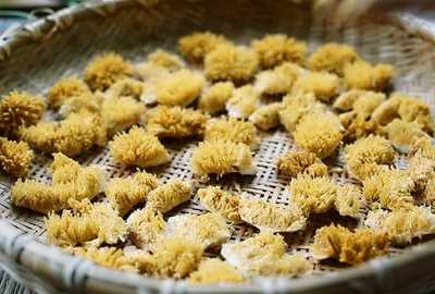 為什么薜荔雄果不能吃,野生薜荔果的吃法大全圖4