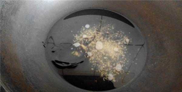 西蘭花可以蒸著吃嗎,西蘭花可以蒸著吃圖10