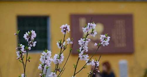 打春和立春有什么區(qū)別,立春和打春詞語哪個好一點圖3