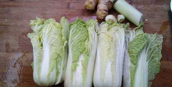 怎么炒娃娃菜好吃,怎么做娃娃菜好吃簡單圖2