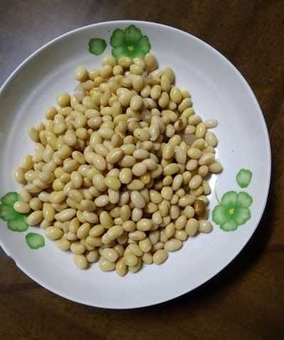 黃豆發(fā)酵長白毛是發(fā)好了,黃豆醬捂霉長出白色的毛正常嗎圖5