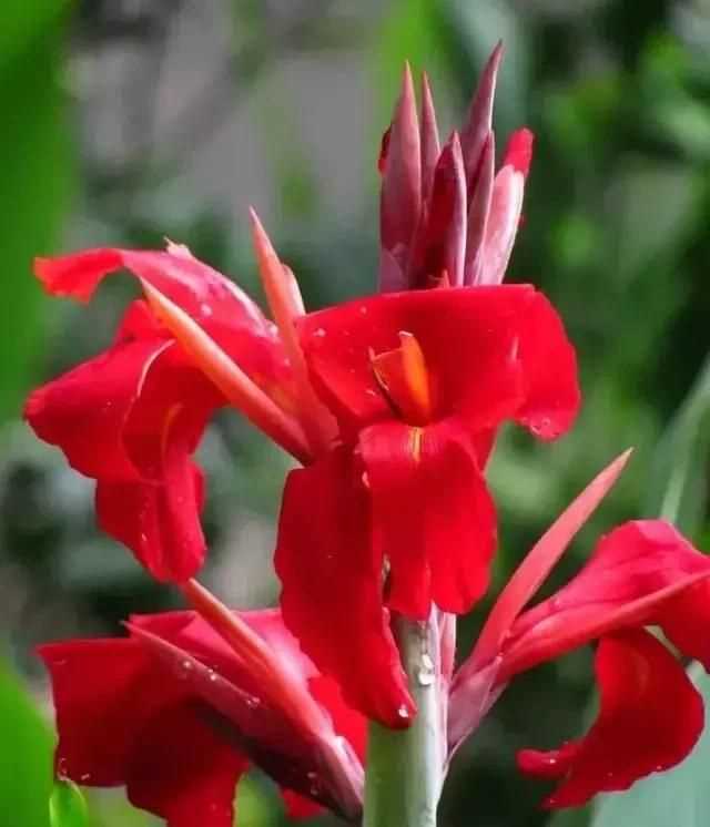 藍(lán)色的象征意義和內(nèi)涵，顏色象征意義是什么？所有歷史時期同顏色對所有人有相同意義嗎？圖2