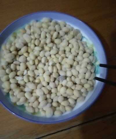 黃豆發(fā)酵長白毛是發(fā)好了,黃豆醬捂霉長出白色的毛正常嗎圖10