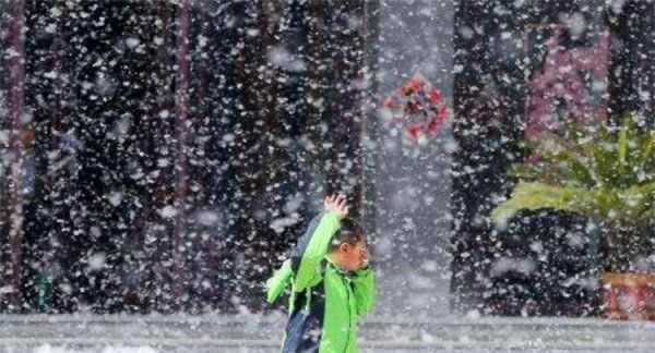 如何清理紗窗上的柳絮,紗窗的柳絮怎么清理圖3