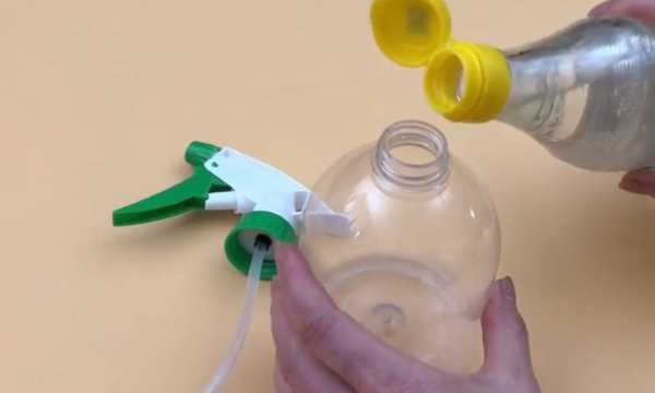 如何清理紗窗上的柳絮,紗窗的柳絮怎么清理圖9