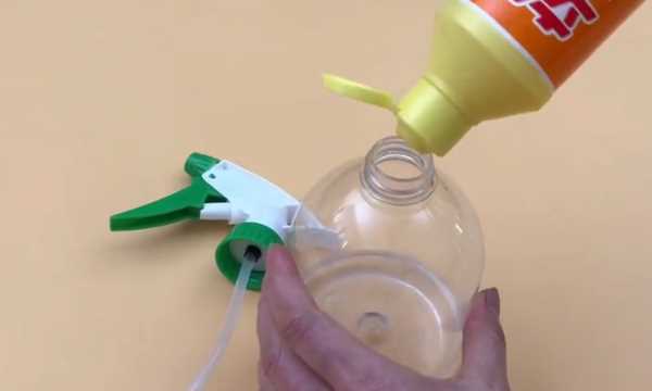 如何清理紗窗上的柳絮,紗窗的柳絮怎么清理圖10