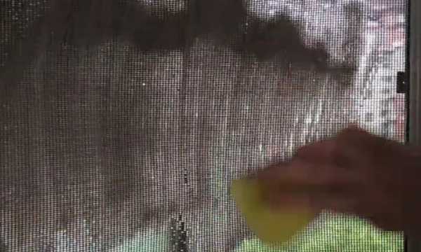 如何清理紗窗上的柳絮,紗窗的柳絮怎么清理圖16