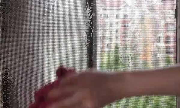 如何清理紗窗上的柳絮,紗窗的柳絮怎么清理圖17