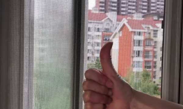 如何清理紗窗上的柳絮,紗窗的柳絮怎么清理圖19
