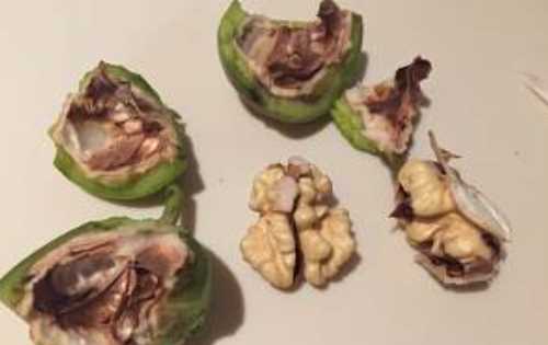 生核桃怎么做簡單好吃,生核桃怎么吃圖3