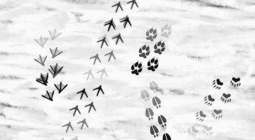 大象在雪地里踩的腳印像什么,動物的腳印在雪地里像什么圖片圖1