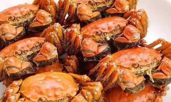 公母蟹有什么不一樣,公蟹和母蟹有什么區(qū)別圖4