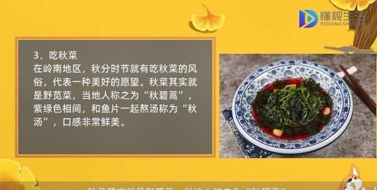 秋天來(lái)了手抄報(bào)帶字