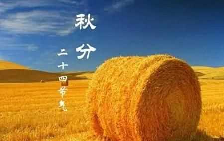 秋分當(dāng)天吃什么食物