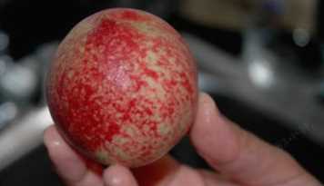 什么可以清除桃子表面的細毛,桃子去毛怎么洗干凈圖9