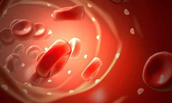 o型血為什么是萬能血,o型血為什么是萬能血圖6