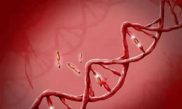 o型血為什么是萬能血,o型血為什么是萬能血圖7