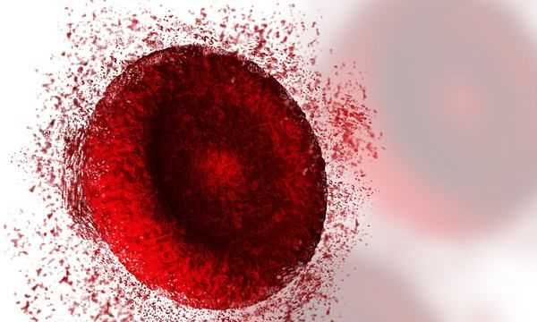 o型血為什么是萬能血,o型血為什么是萬能血圖8