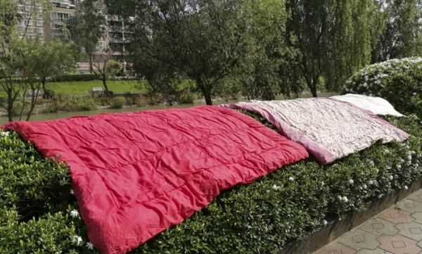 曬好的被子為什么不能拍,曬被子為什么不能拍打圖10