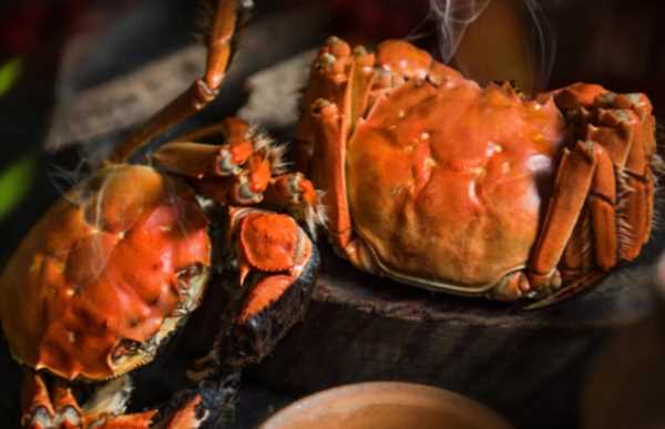 吃大閘蟹的季節(jié)是幾月,大閘蟹的季節(jié)是幾月圖2