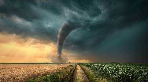 在野外遇到龍卷風時應(yīng)該怎么辦,如果遇到龍卷風應(yīng)該如何自救圖5