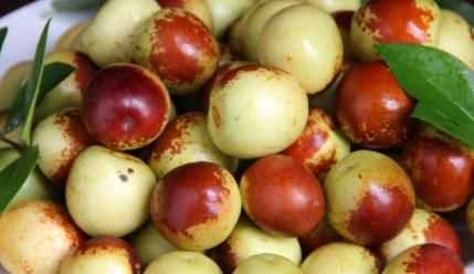 冬棗放久了會臭嗎