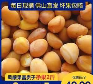 鳳眼果的殼有什么作用