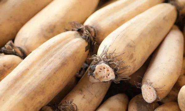 藕有幾個孔的區(qū)別,買藕時注意什么圖10