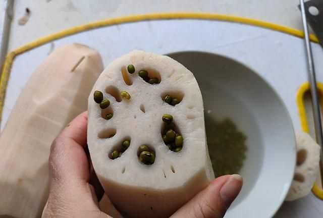 7孔9孔孔藕的區(qū)別圖片