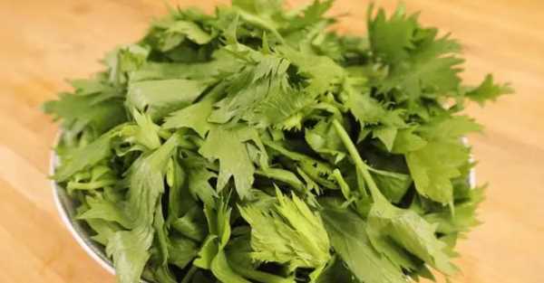 芹菜葉子怎么做好吃,芹菜葉怎么吃圖1