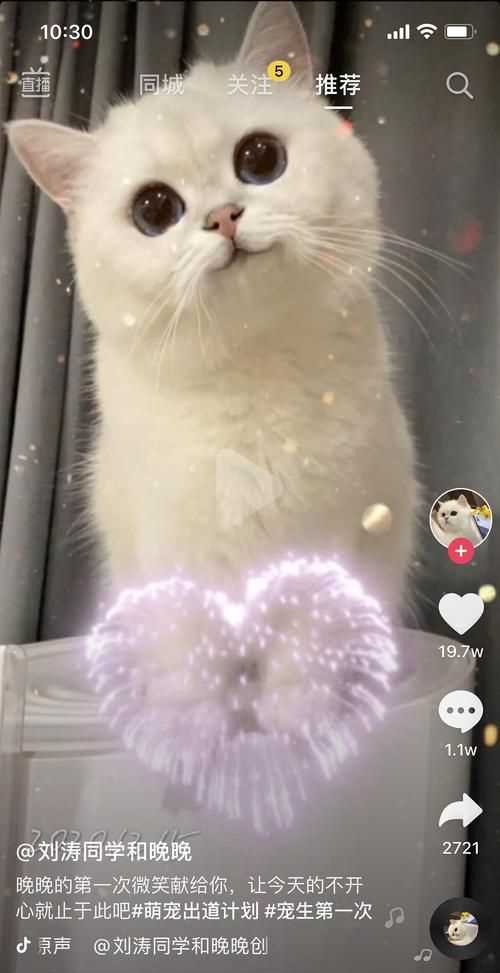 抖音那個(gè)搖頭的怎么弄