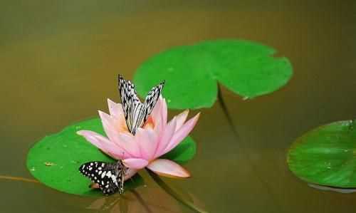 西安太平國家森林公園有什么好玩的東西嗎