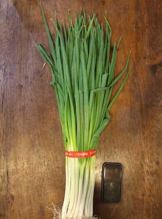 大蔥的寓意和象征,黑狗的寓意和象征是什么?圖3