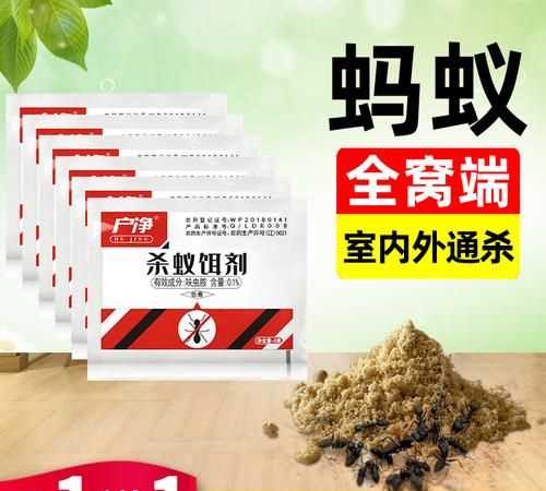 螞蟻藥什么時候見效