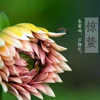 驚蟄的含義和氣候