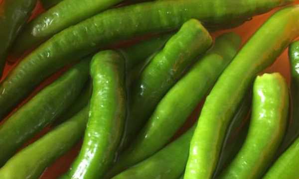 辣椒炒肉怎么做好吃,辣椒炒肉怎么炒好吃圖1