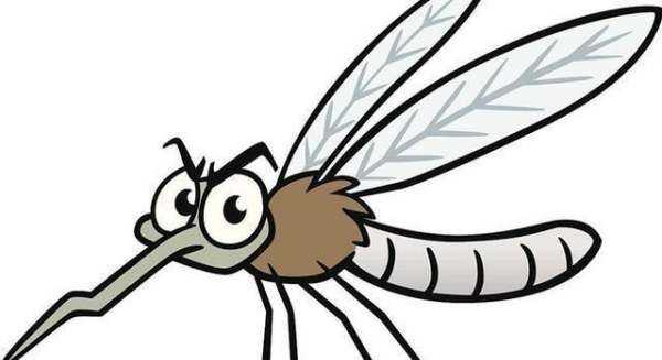 蚊子用什么藥殺滅最好,殺蚊子最強(qiáng)的農(nóng)藥圖2