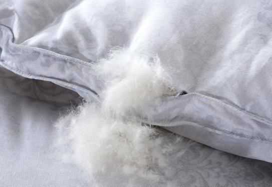 新買(mǎi)的羽絨服怎么洗最好