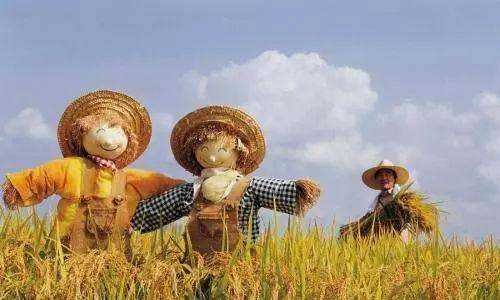 稻草人具有什么樣的品質,稻草人具有什么樣的品質為什么圖3