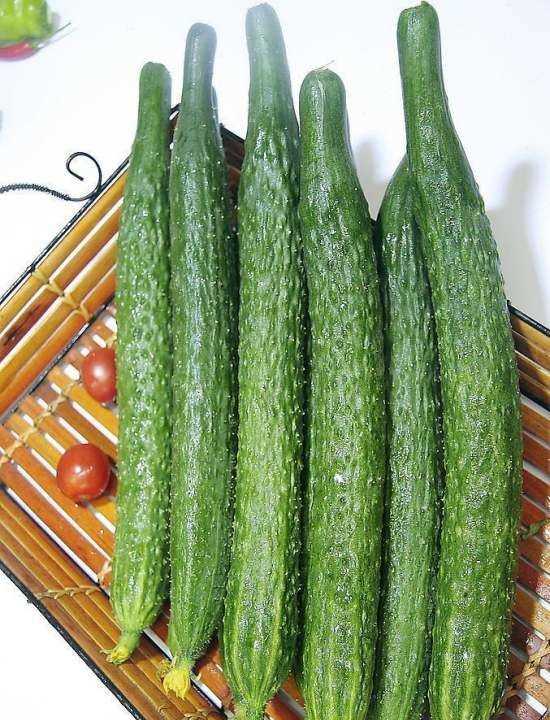 黃瓜怎么凍到冰箱保存,黃瓜是常見(jiàn)的蔬菜嗎圖2