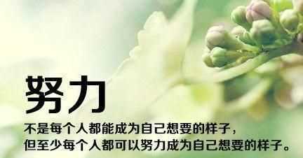 一群人一起努力變優(yōu)秀的簡(jiǎn)短句子