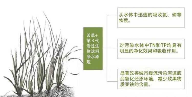 濕地對水庫的作用