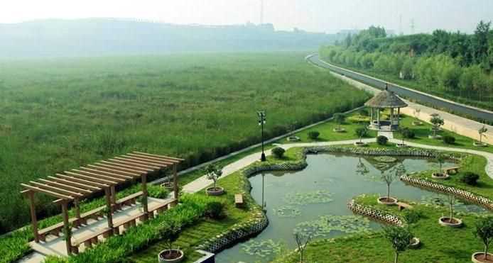 濕地對農業(yè)發(fā)展有何作用急！肯定有caina