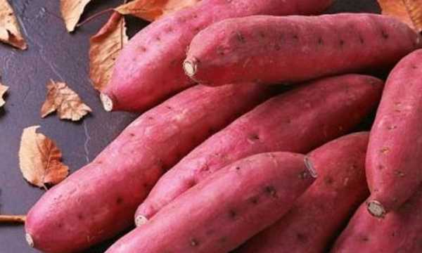 甘薯是什么顏色的,甘薯是什么東西圖2
