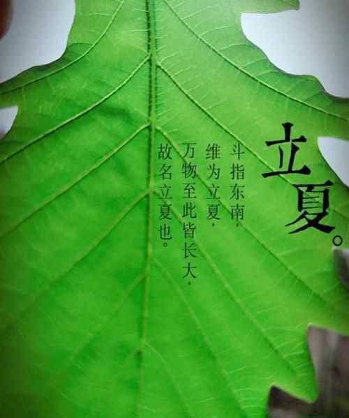 關于立夏的古詩二年級的