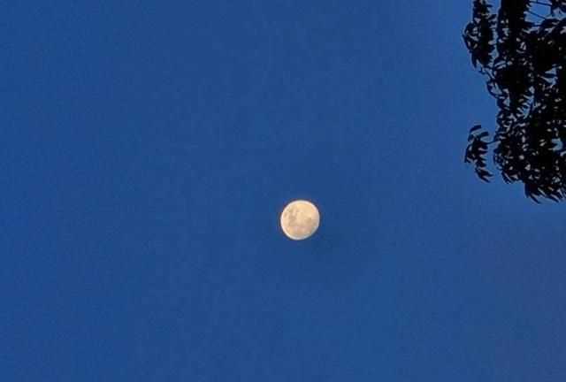 拍月亮發(fā)朋友圈說說，2021首次超級月亮說說？圖3