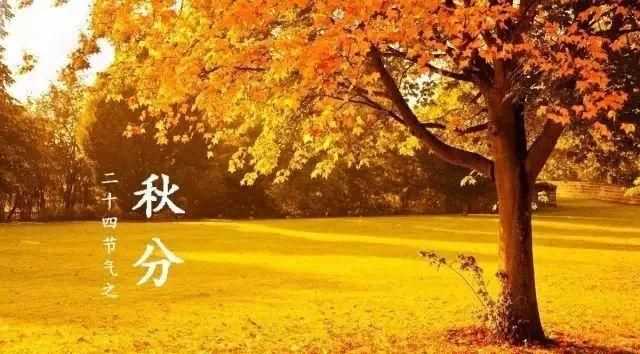 秋分節(jié)氣什么意思