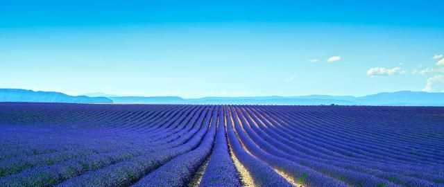 普爾斯是哪個(gè)國(guó)家的