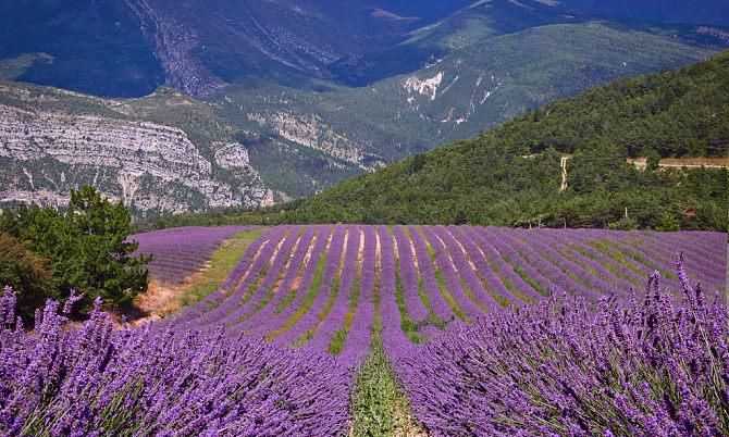 普羅旺斯在哪個(gè)國(guó)家的市區(qū)