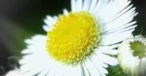 節(jié)哀順變是什么意思,節(jié)哀順變是什么意思圖1